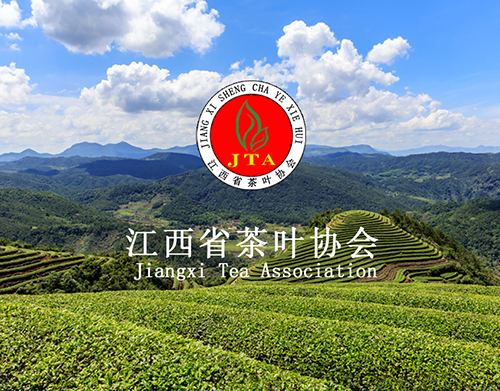 古今茶事实业有限公司